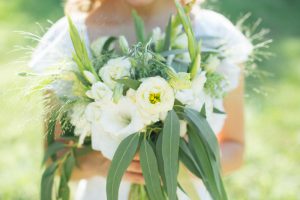 iStock_000075605975_Small